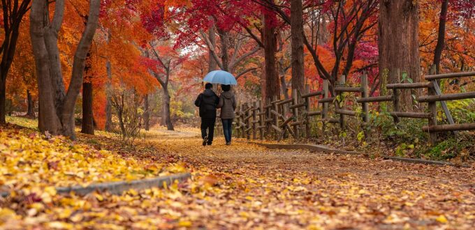 Couple walking together through a park in fall foliage, illustrating the seasonal pull of cuffing season