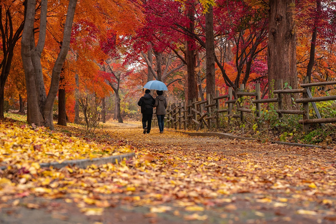 Couple walking together through a park in fall foliage, illustrating the seasonal pull of cuffing season